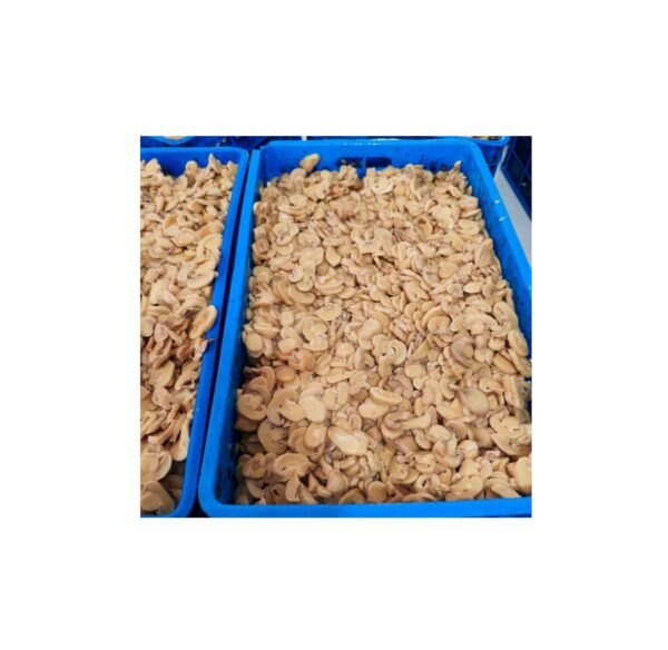 قارچ بلانچ اسلایسی گرید B